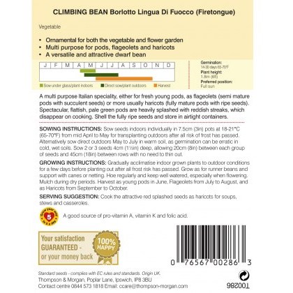 Climbing Bean Borlotto Lingua (Firetongue)