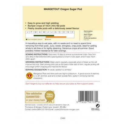 Mangetout Oregon Sugar Pod