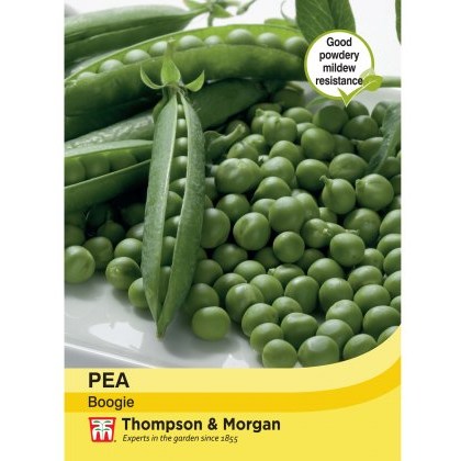 Pea Boogie