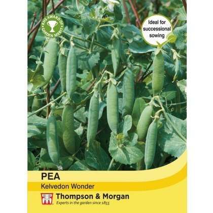 Pea Kelvedon Wonder