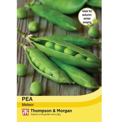 Pea Meteor