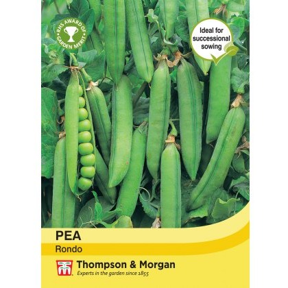 Pea Rondo