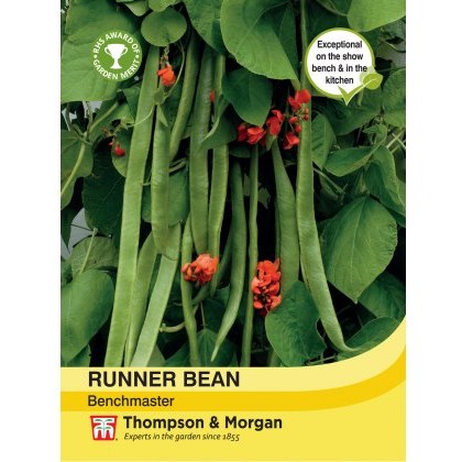 Runner Bean Benchmaster