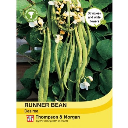 Runner Bean Desiree