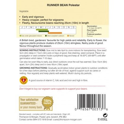 Runner Bean Polestar