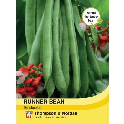Runner Bean Tenderstar