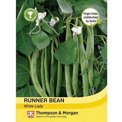 Runner Bean White Lady