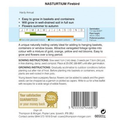 Nasturtium Firebird