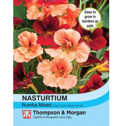 Nasturtium Rumba Mixed