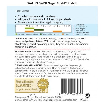 Wallflower Sugar Rush F1 Hybrid
