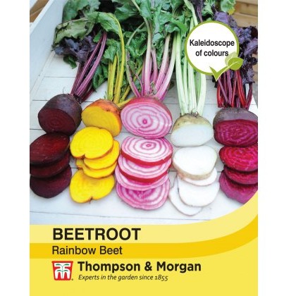 Beetroot Rainbow Beet