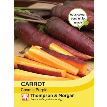 Carrot Cosmic Purple
