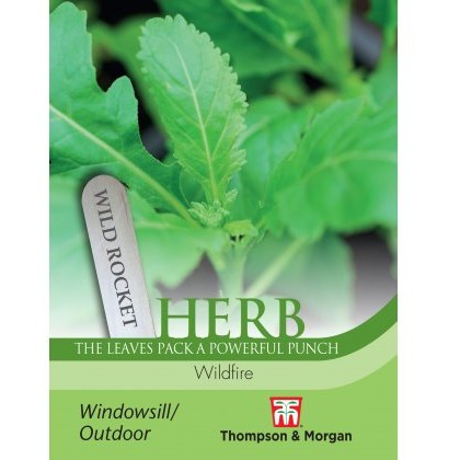 Herb Wild Rocket Wildfire