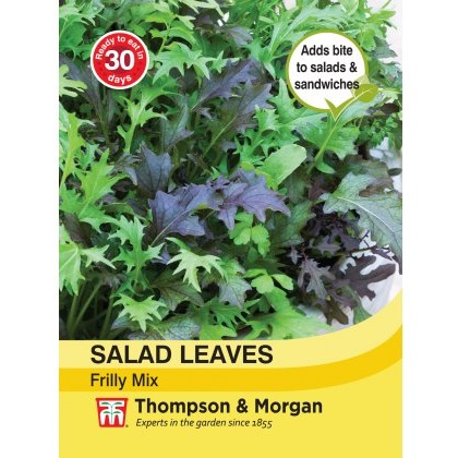 Salad Leaves - Frilly Mix