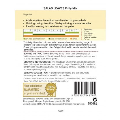 Salad Leaves - Frilly Mix