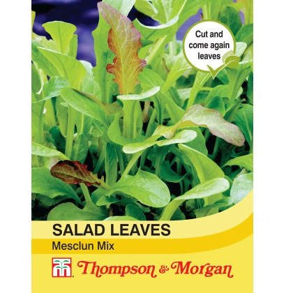 Salad Leaves - Mesclun Mixed