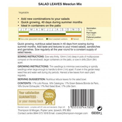 Salad Leaves - Mesclun Mixed