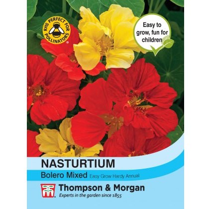 Nasturtium Bolero Mixed