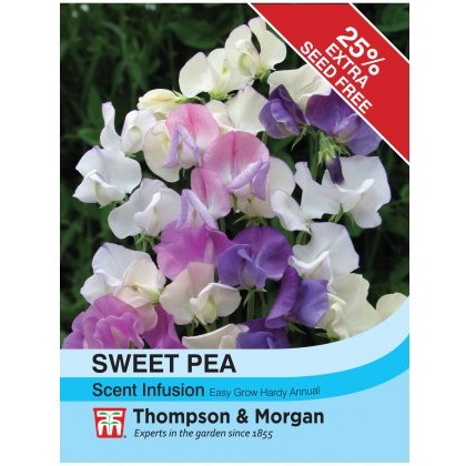 Sweet Pea Scent Infusion