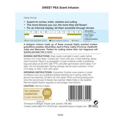 Sweet Pea Scent Infusion