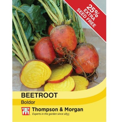 Beetroot Boldor