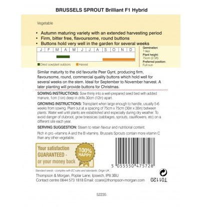 Brussels Sprout Brilliant F1 Hybrid