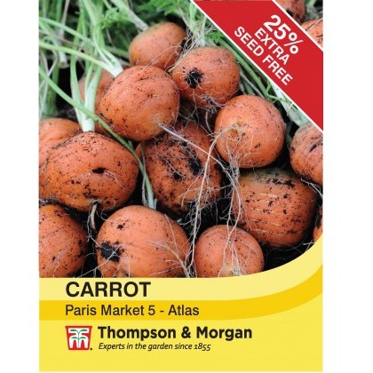 Carrot Paris Market - Atlas