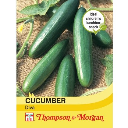 Cucumber Diva