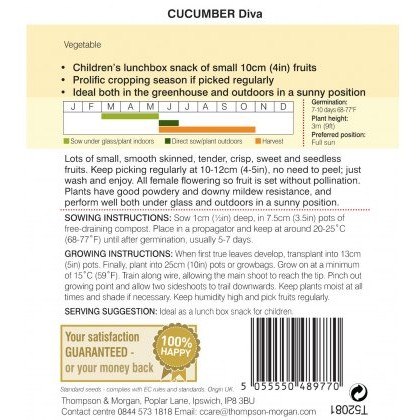 Cucumber Diva