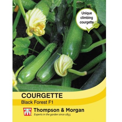 Courgette Black Forest F1 Hybrid