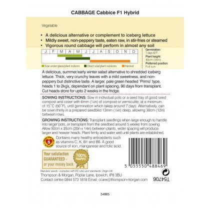 Cabbage Cabbice F1 Hybrid