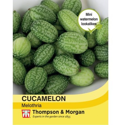 Cucamelon