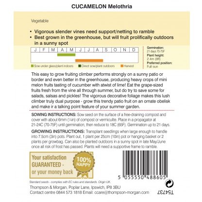 Cucamelon