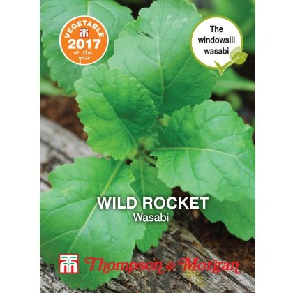 Herb Wild Rocket Wasabi