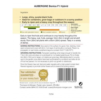 Aubergine Bonica
