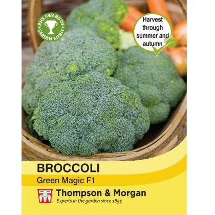 Broccoli Green Magic F1 Hybrid