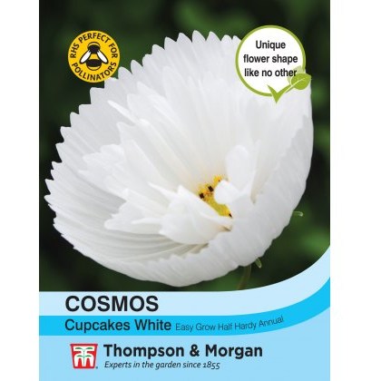 Cosmos Cupcakes - White