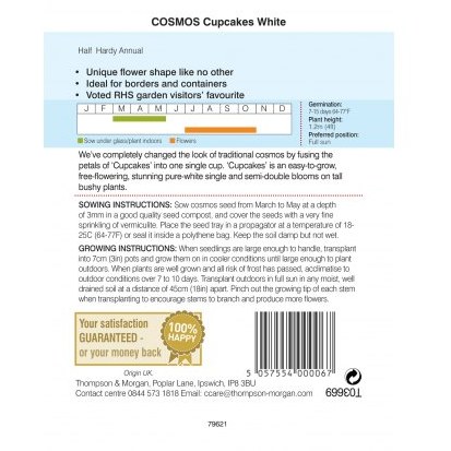Cosmos Cupcakes - White