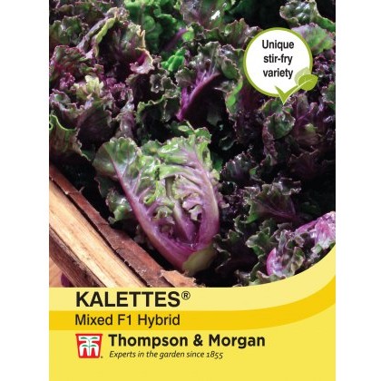 Kalettes® Garden Mix F1 Hybrid