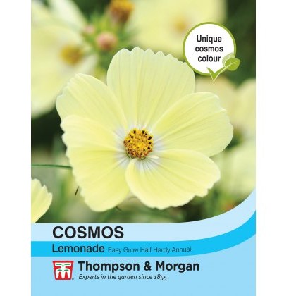 Cosmos Lemonade