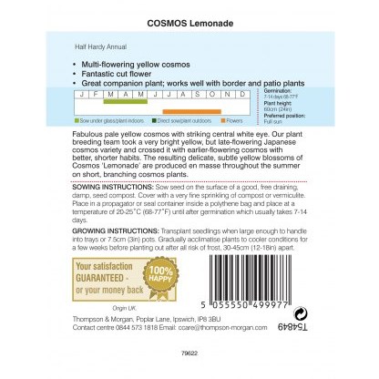 Cosmos Lemonade
