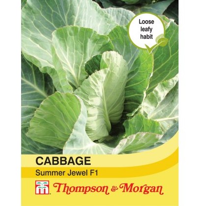Cabbage Summer Jewel F1 Hybrid