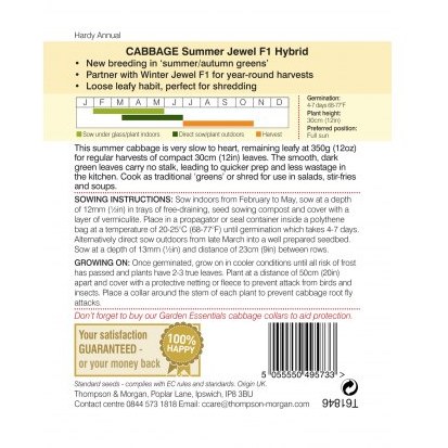Cabbage Summer Jewel F1 Hybrid