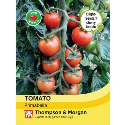 Tomato Primabella