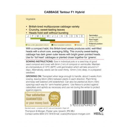 Cabbage Tantour F1 Hybrid