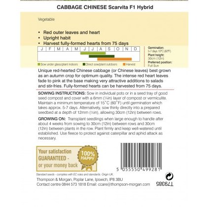 Cabbage Chinese Scarvita F1 Hybrid