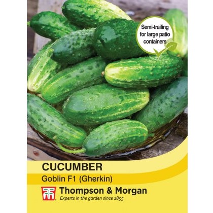 Cucumber Goblin F1 Hybrid (Gherkin)