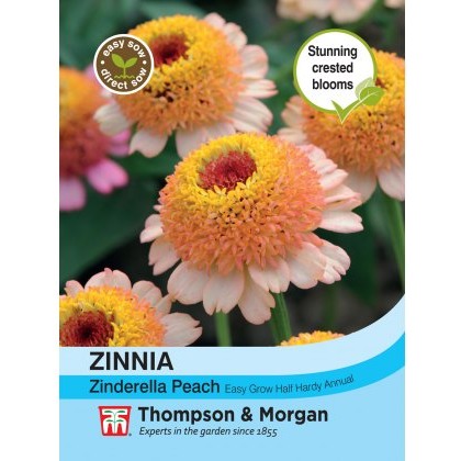 Zinnia elegans Zinderella Peach