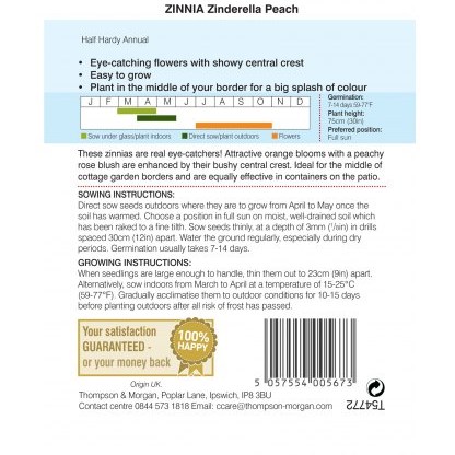 Zinnia elegans Zinderella Peach