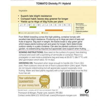Tomato Divinity